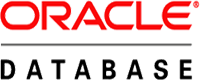 Oracle Database Logo