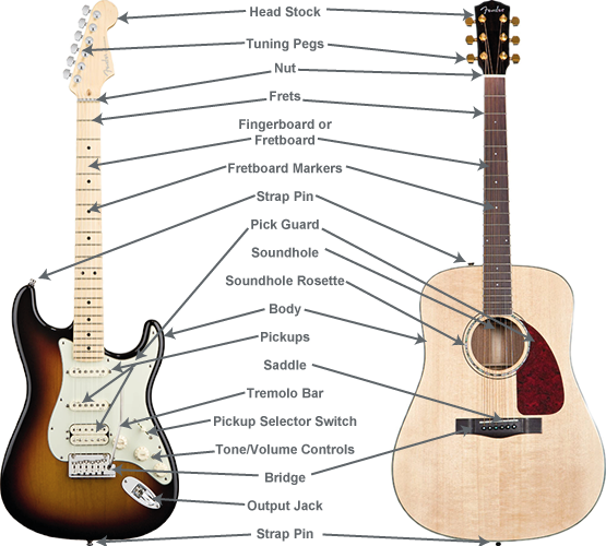 Guitar Anatomy